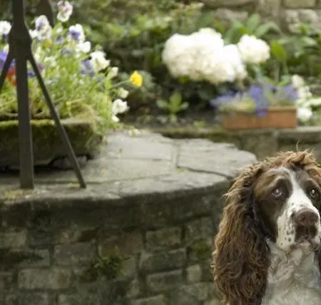 Entro Le Mura Bergamo